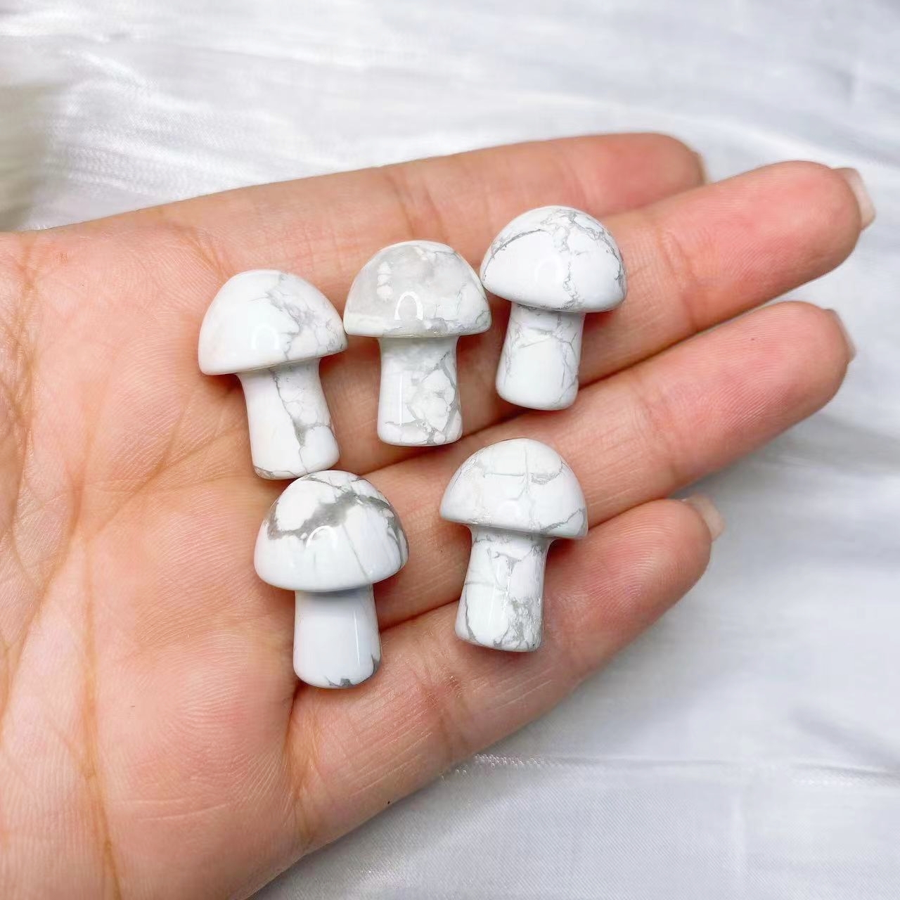 Natural Crystal Mini Mushroom  – обзор и цена Planted Aquarium Mini