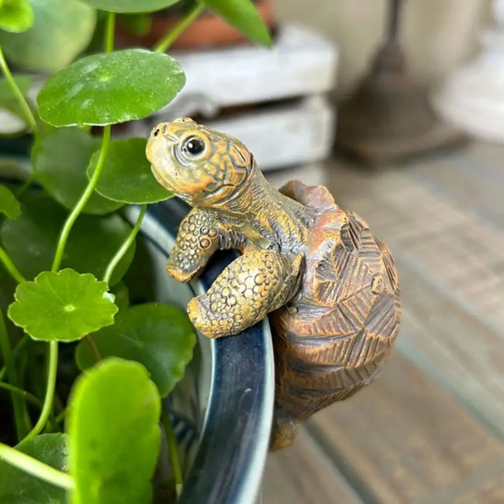 Fishing Turtle Hanging Turtle  – обзор и цена Aquarium Planting