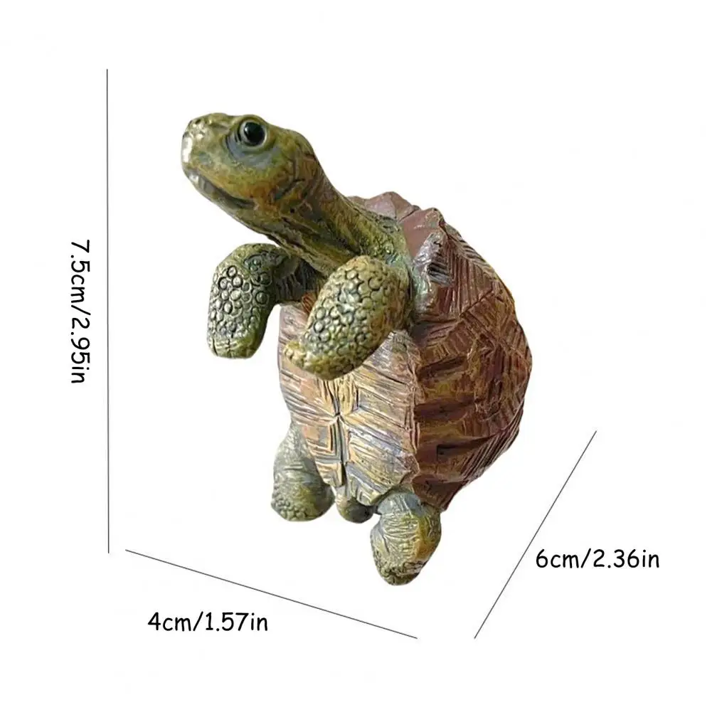 Fishing Turtle Hanging Turtle  – обзор и цена Aquarium Planting