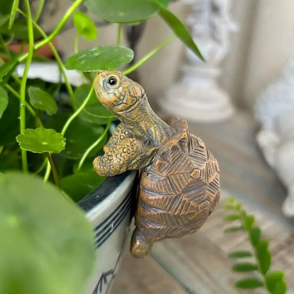 Fishing Turtle Hanging Turtle  – обзор и цена Aquarium Planting