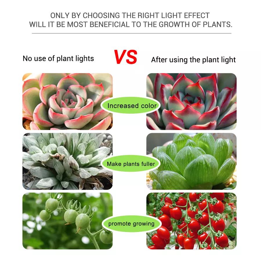 LED Strips 5V Grow Led Flower  – обзор и цена Planted Aquarium Hours