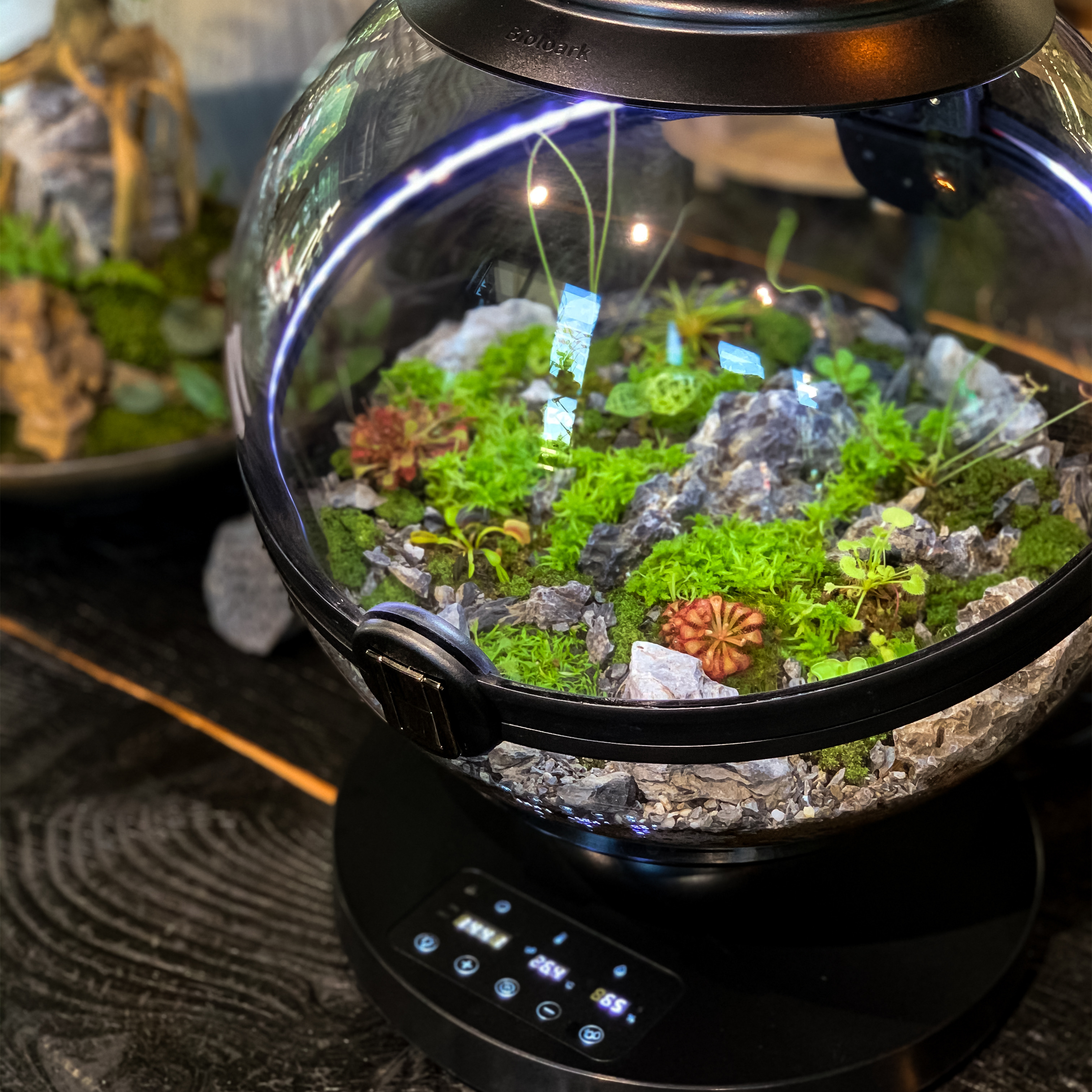 Hot Sales Acrylic Material  Ba – обзор и цена Planted Aquarium For Sale
