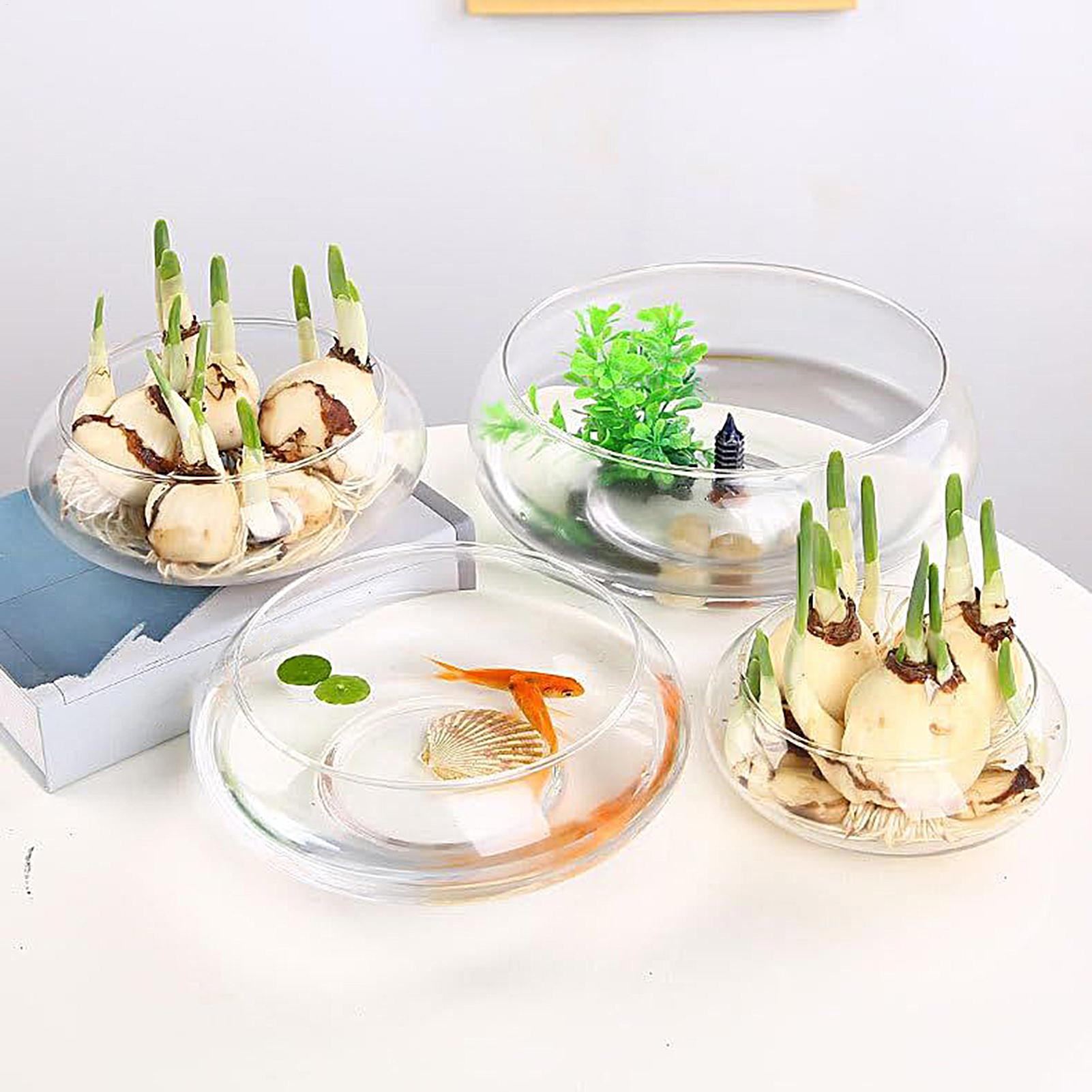 Fish Glass Bowl Glass Large Hy – обзор и цена Aquarium Planting