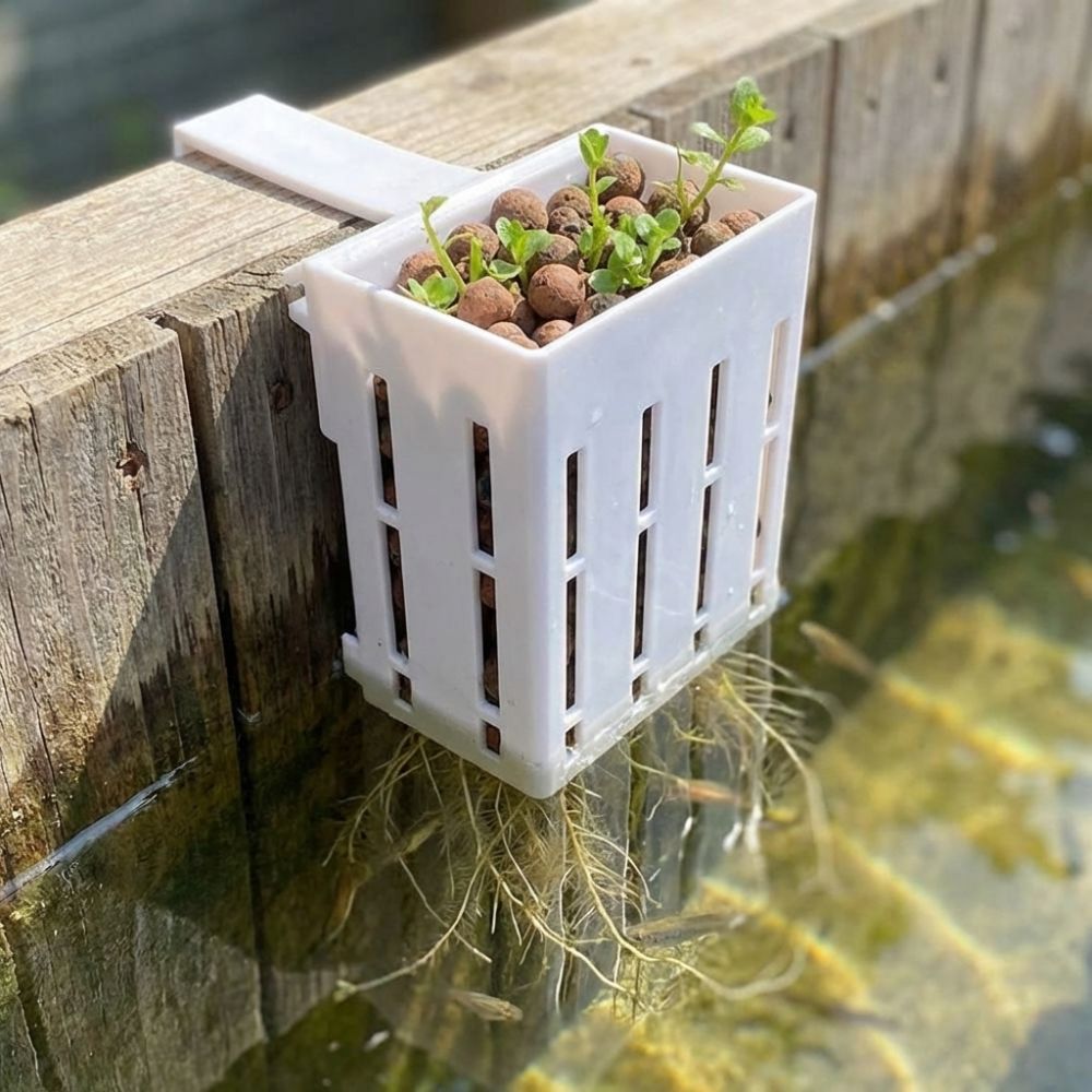 Wall-Mounted Aquarium Plant Ba – обзор и цена Aquarium Planted Wall