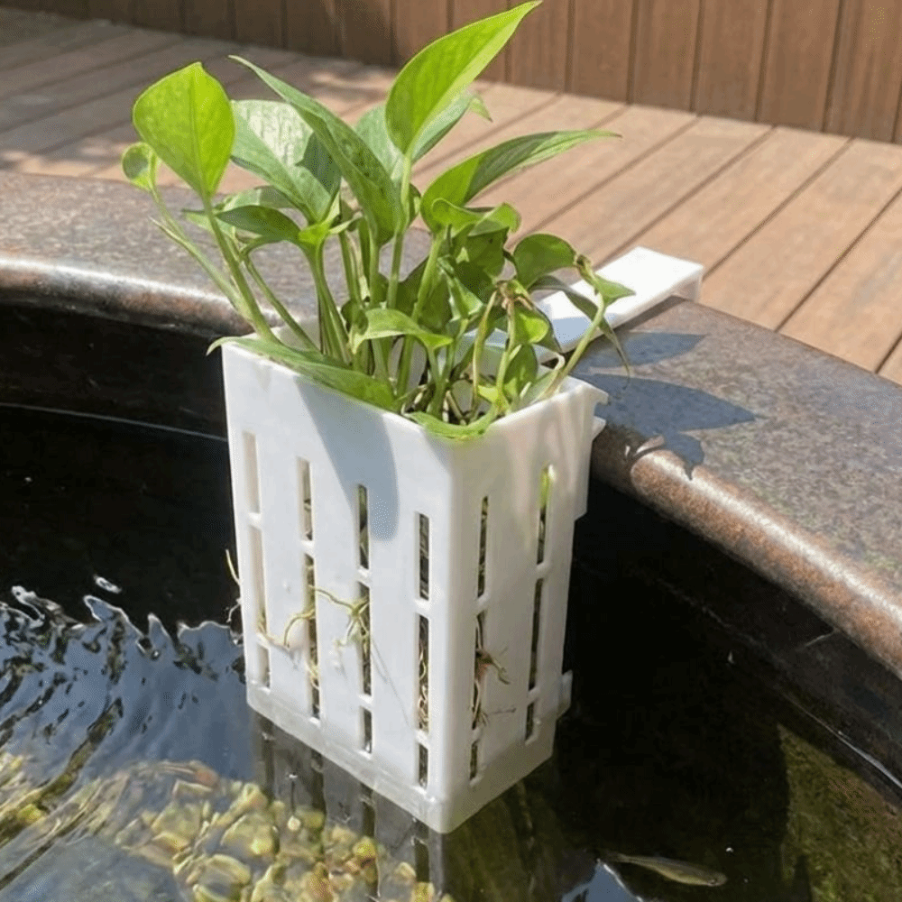 Wall-Mounted Aquarium Plant Ba – обзор и цена Aquarium Planted Wall