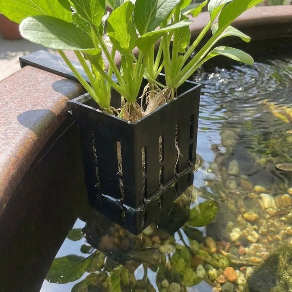 Wall-Mounted Aquarium Plant Ba – обзор и цена Aquarium Planted Wall