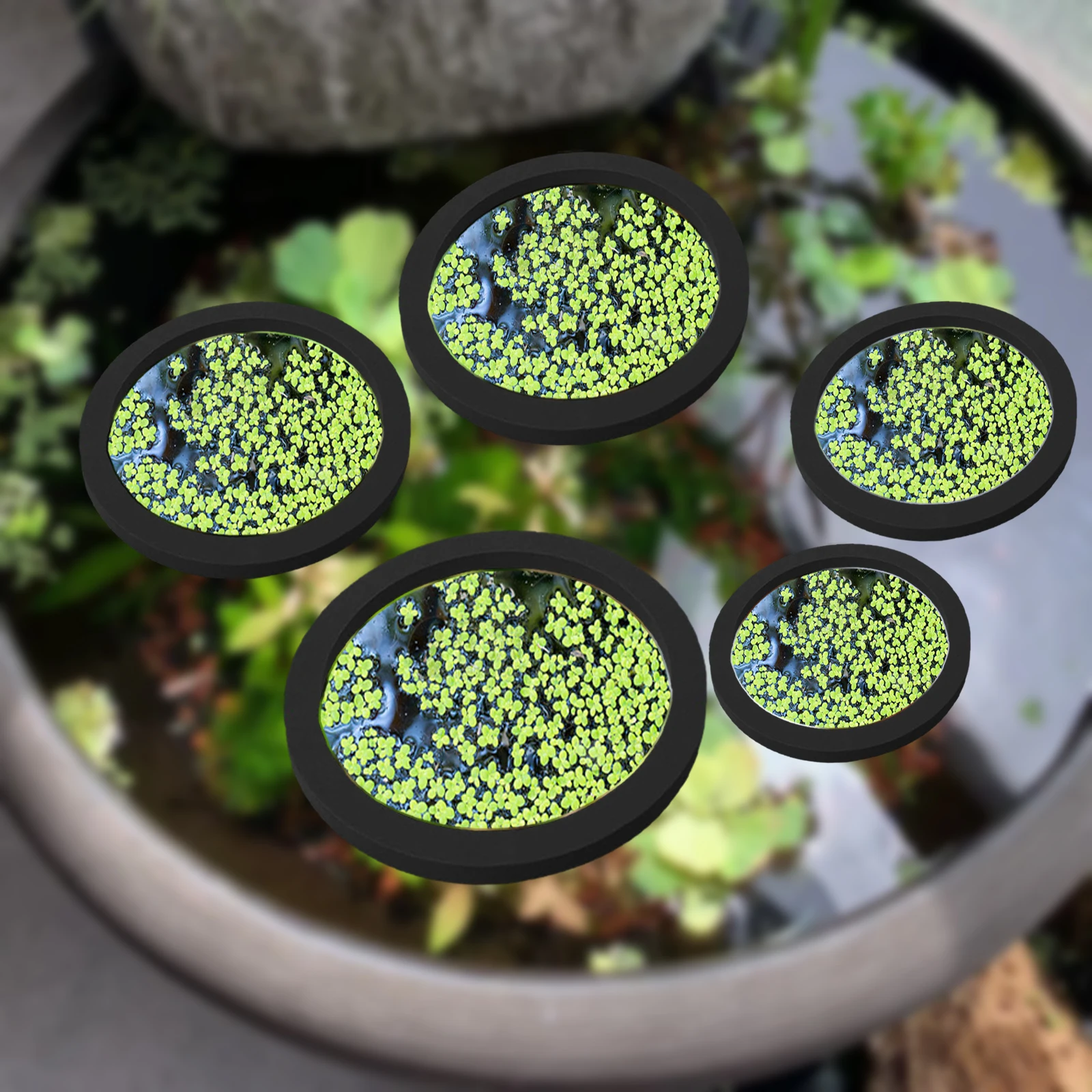 5Pcs EVA Fish Feeding Ring Aqu – обзор и цена Aquarium Planting
