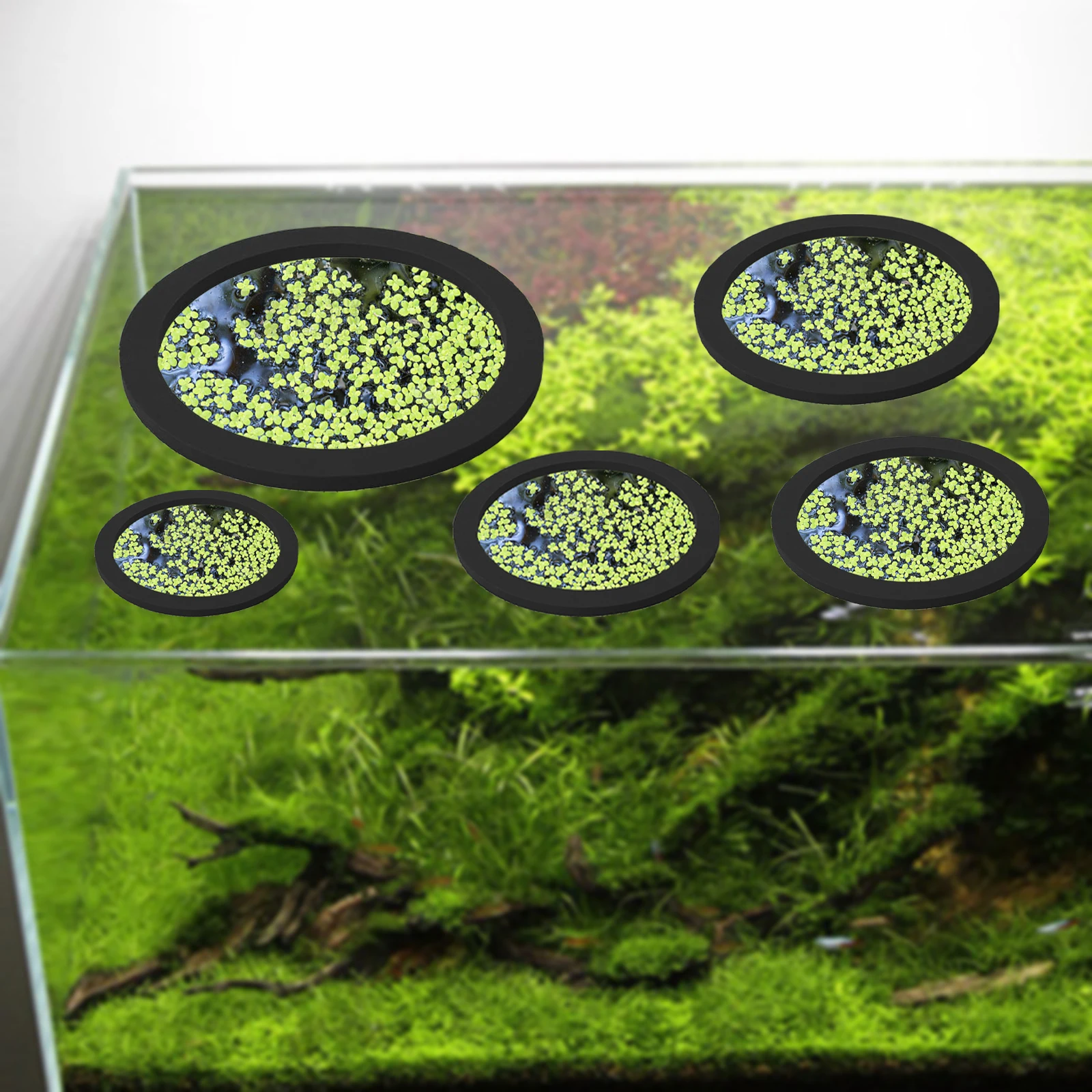 5Pcs EVA Fish Feeding Ring Aqu – обзор и цена Aquarium Planting