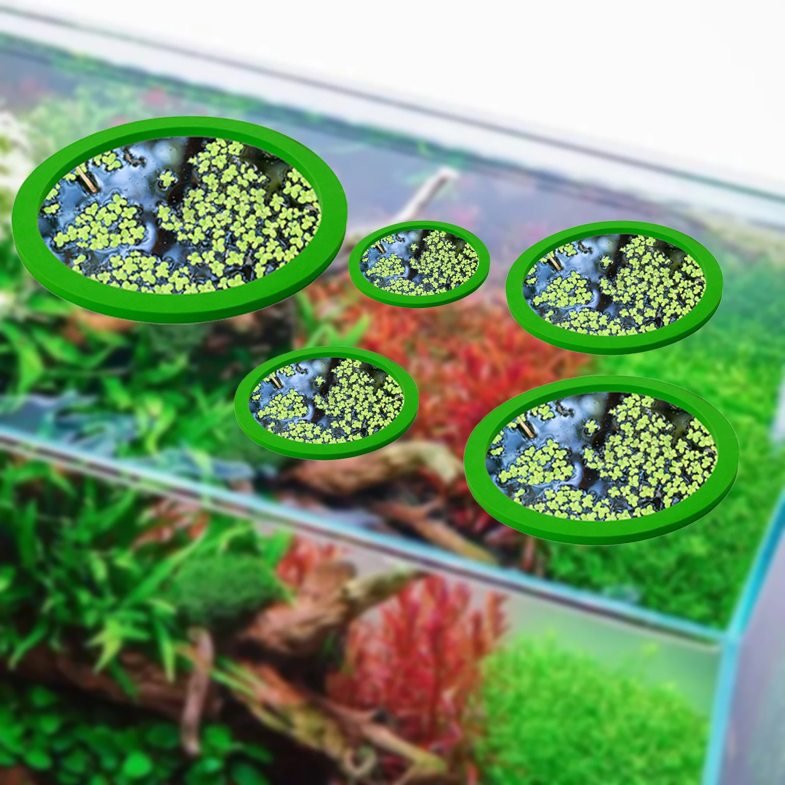 5Pcs EVA Fish Feeding Ring Aqu – обзор и цена Aquarium Planting