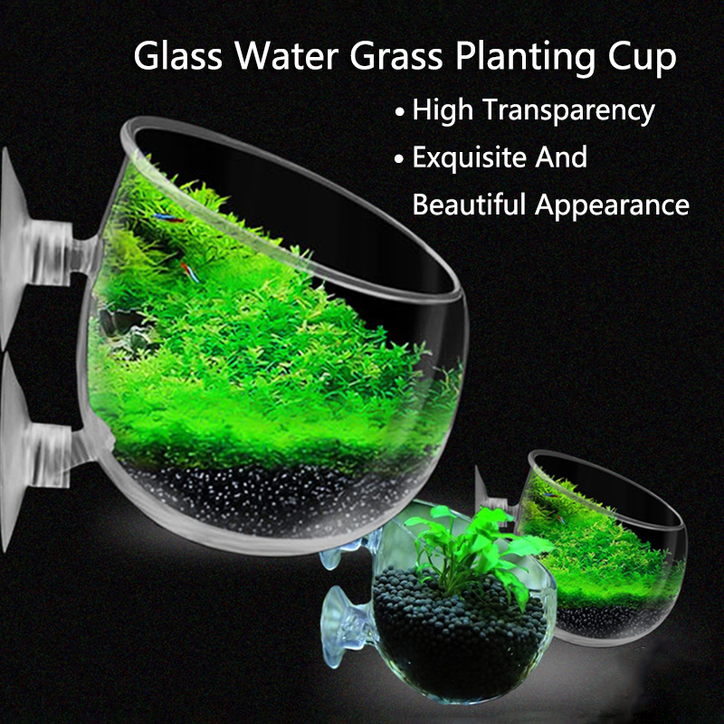 Glass Aquarium Decoration Hang – обзор и цена Planted Aquarium Mini