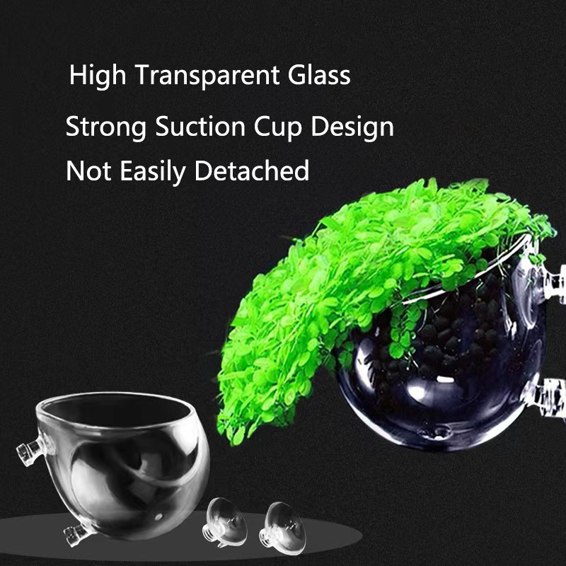 Glass Aquarium Decoration Hang – обзор и цена Planted Aquarium Mini
