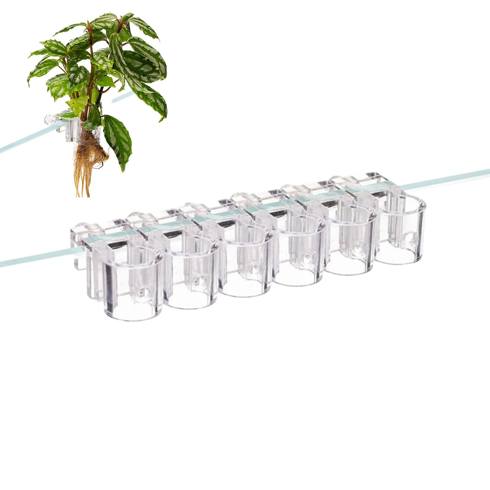 Mini Fish Tank Planter Pot 6Pc – обзор и цена Planted Aquarium Mini