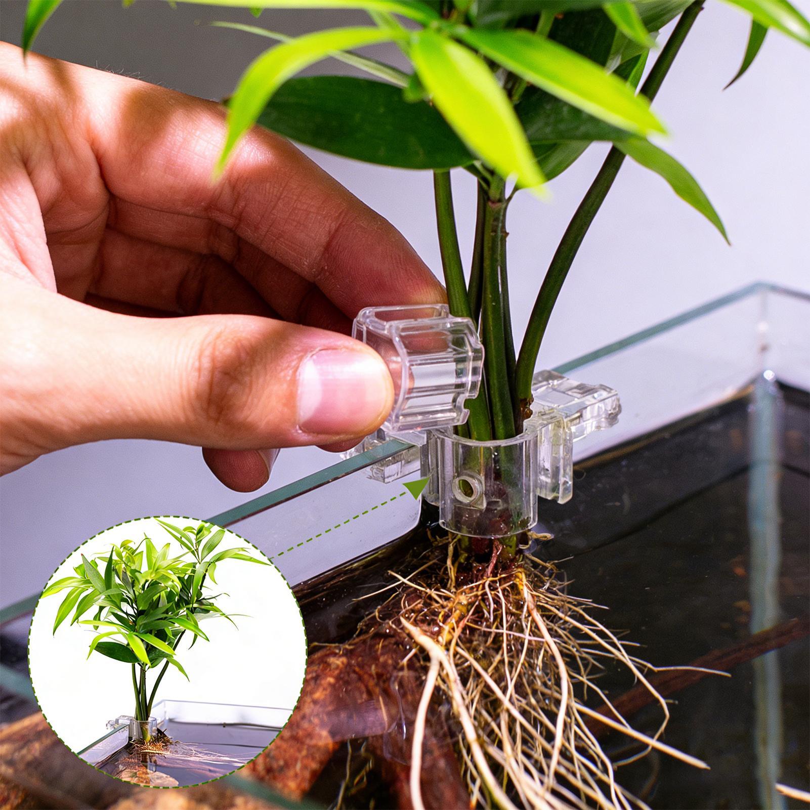 Mini Fish Tank Planter Pot 6Pc – обзор и цена Planted Aquarium Mini