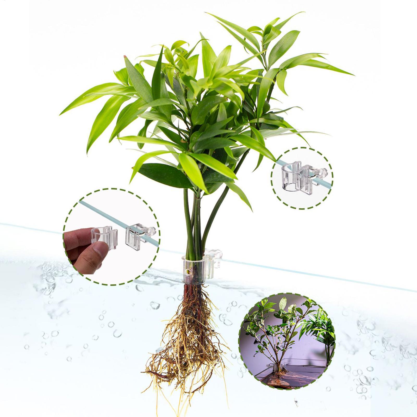 Mini Fish Tank Planter Pot 6Pc – обзор и цена Planted Aquarium Mini