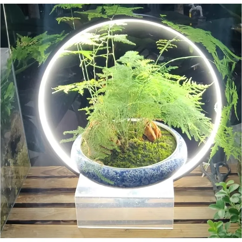 Desktop LED Aquarium Lamp for  – обзор и цена Planted Aquarium Hours