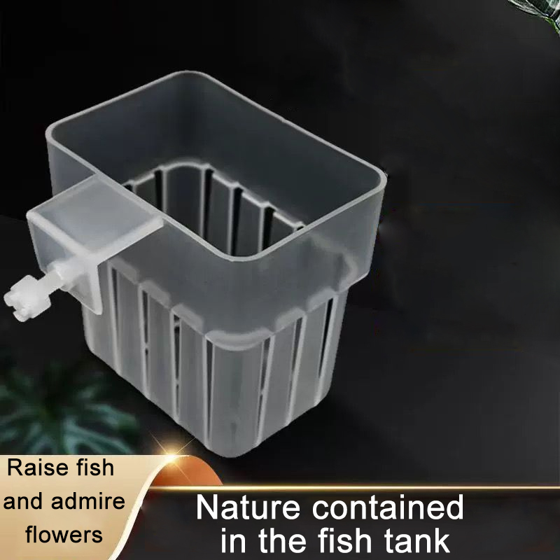 Aquarium Transparent Hydroponi – обзор и цена Aquarium Planted Wall