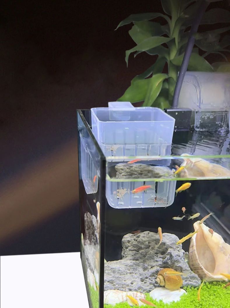 Aquarium Transparent Hydroponi – обзор и цена Aquarium Planted Wall