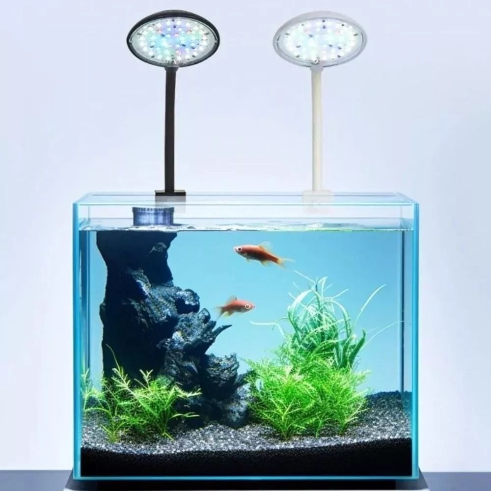 New Mini Fish Tank Clip Lamp 5 – обзор и цена Planted Aquarium Mini