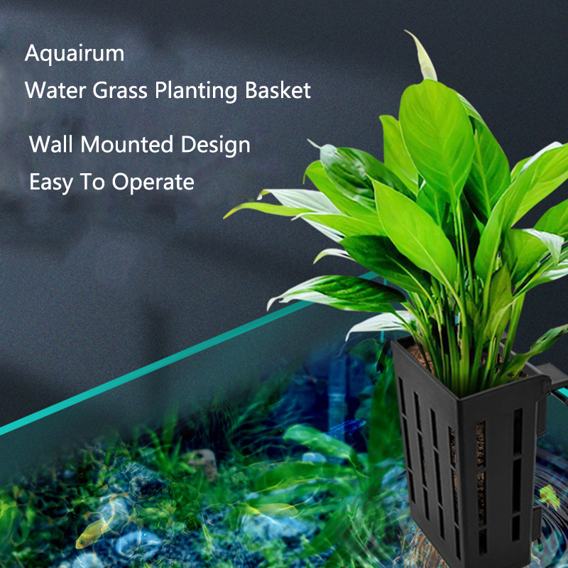 Black Aquarium Planting Basket – обзор и цена Aquarium Planted Wall