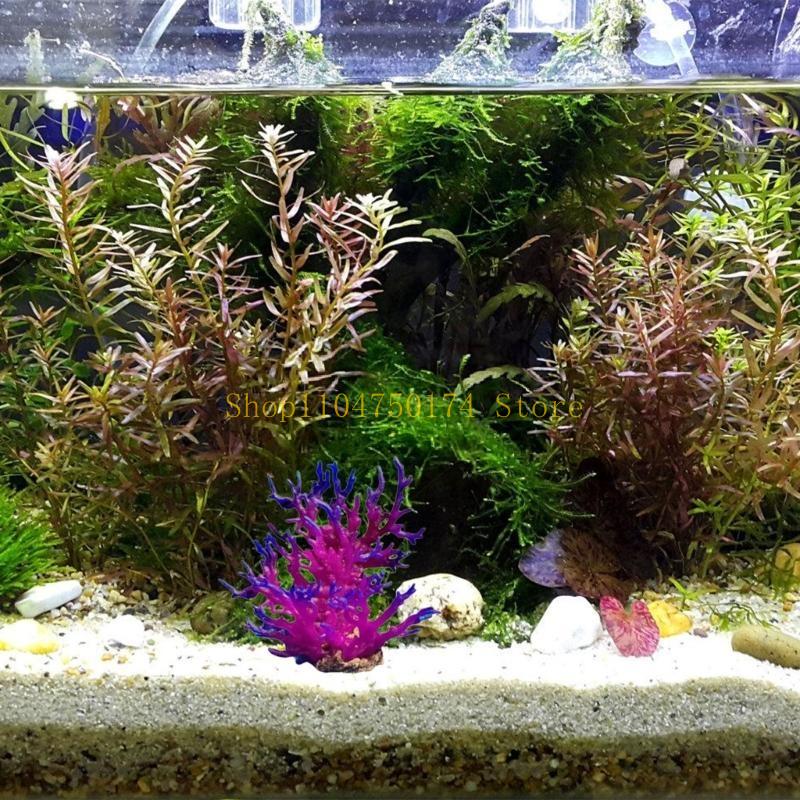 Artificial Water Plant Aquariu – обзор и цена Planted Aquarium For Sale