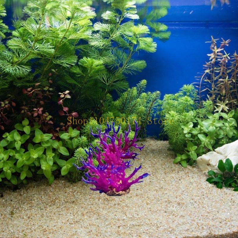 Artificial Water Plant Aquariu – обзор и цена Planted Aquarium For Sale