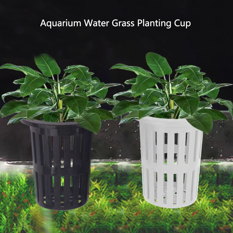1/3Pcs Aquarium Plant Basket W – обзор и цена Aquarium Planted Wall