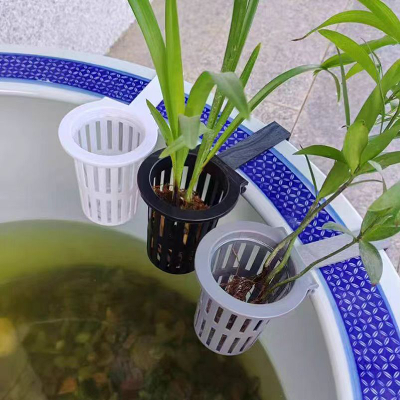 1/3Pcs Aquarium Plant Basket W – обзор и цена Aquarium Planted Wall