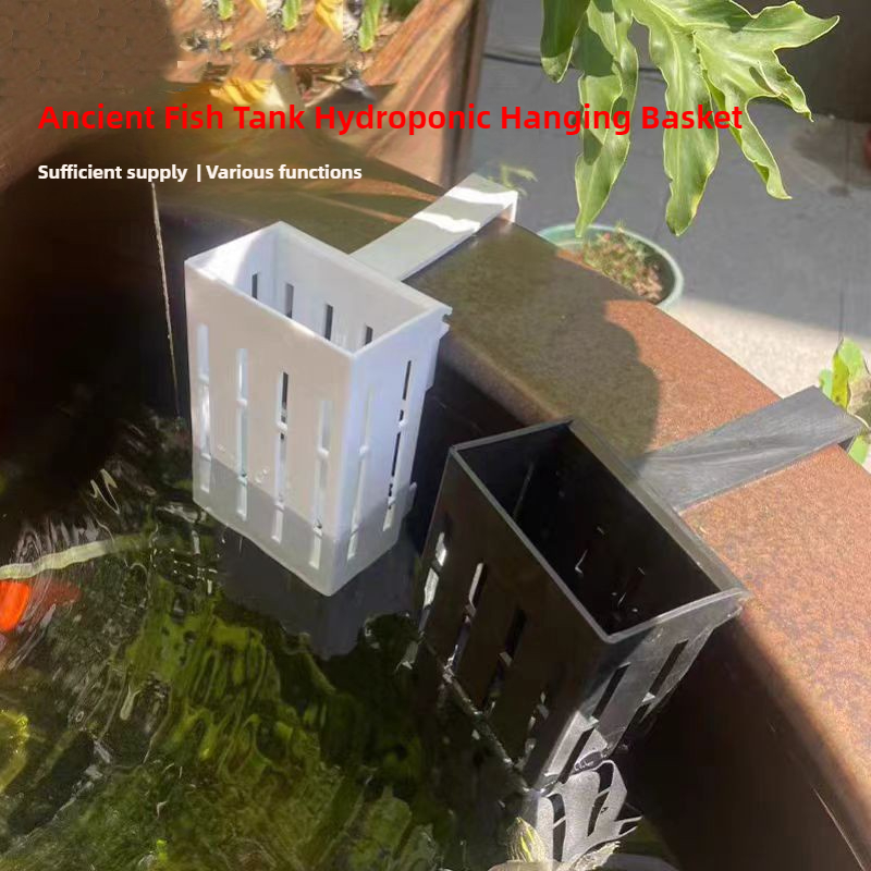 1/3Pcs Aquarium Plant Basket W – обзор и цена Aquarium Planted Wall