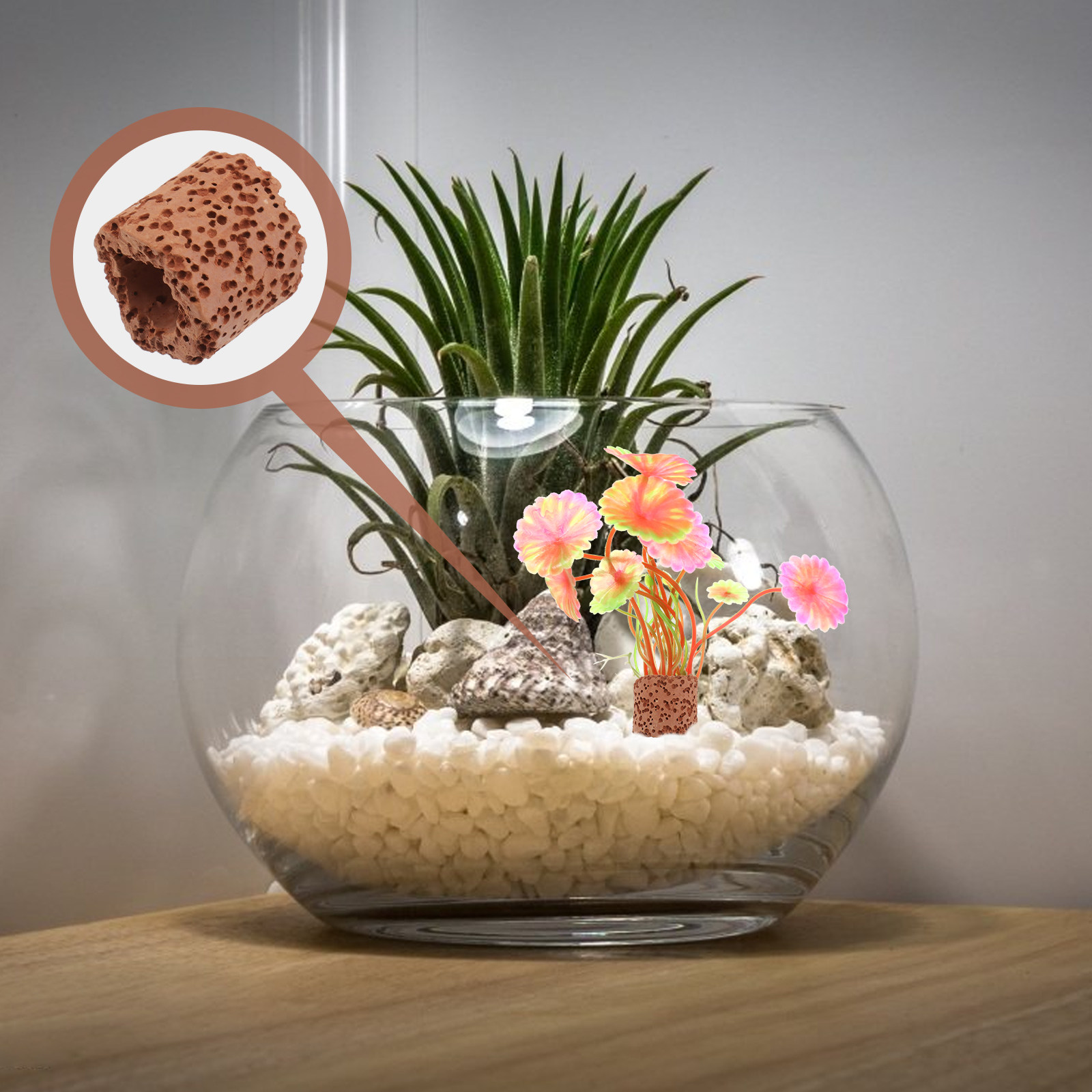 10Pcs Water Plant Fixed Ring S – обзор и цена Aquarium Planting
