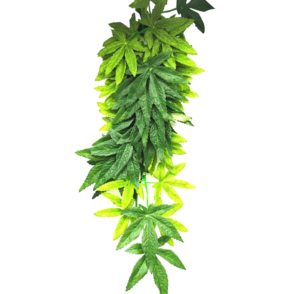 HOT SALE 30/40/50CM Aquarium R – обзор и цена Planted Aquarium For Sale