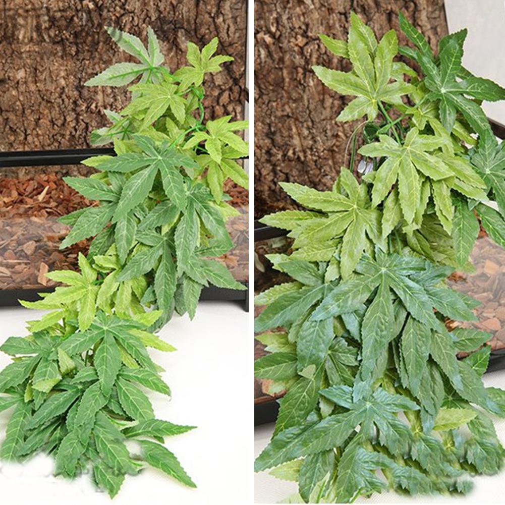 HOT SALE 30/40/50CM Aquarium R – обзор и цена Planted Aquarium For Sale