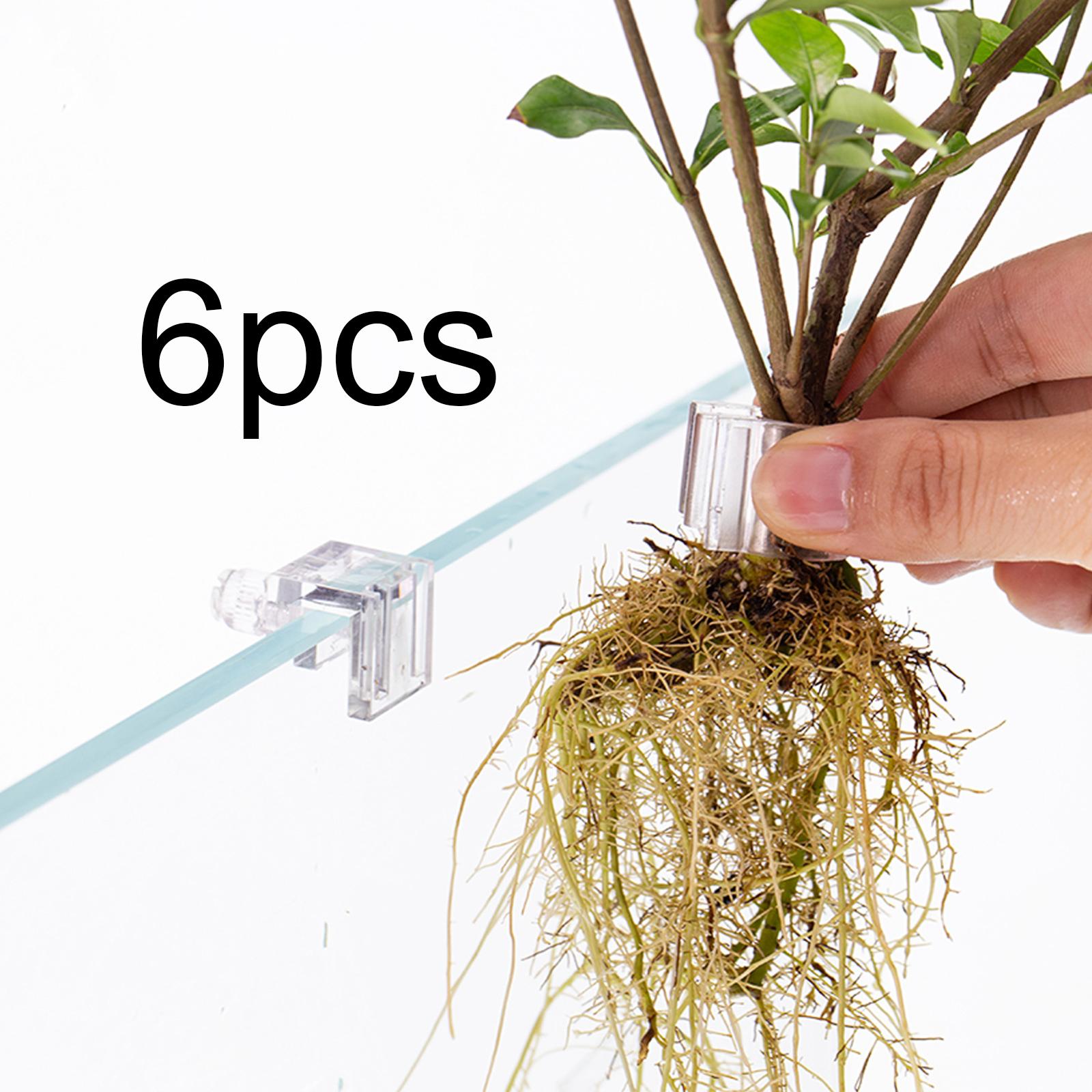 Durable Transparent Plant Hold – обзор и цена Aquarium Planted Wall