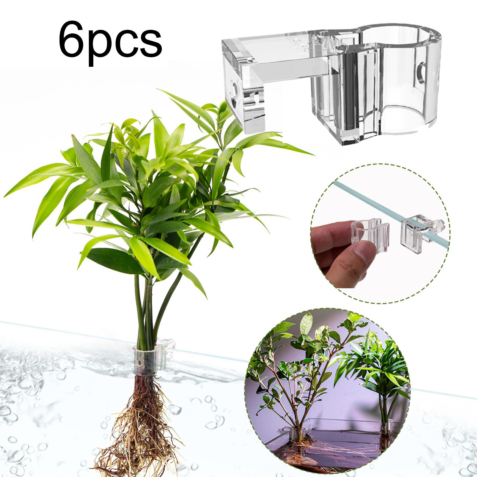 Durable Transparent Plant Hold – обзор и цена Aquarium Planted Wall