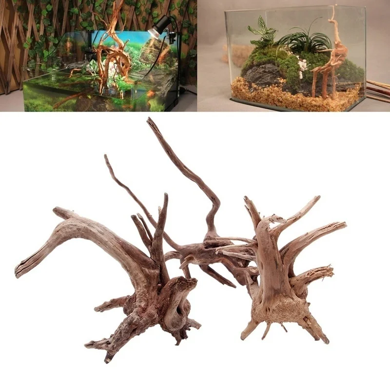 Natural Tree Trunk Driftwood A – обзор и цена Planted Aquarium Making