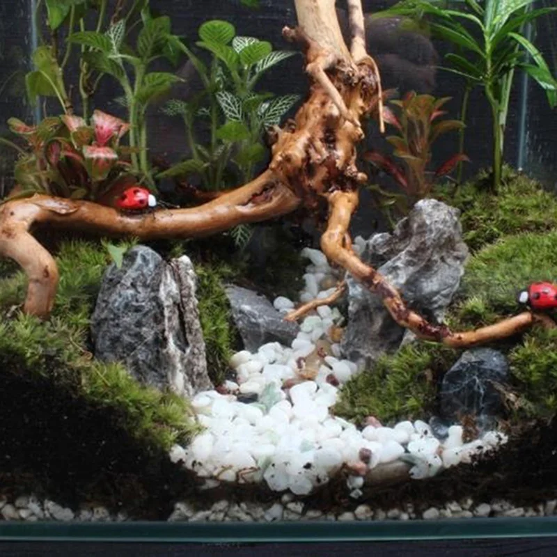 Natural Tree Trunk Driftwood A – обзор и цена Planted Aquarium Making