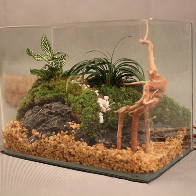 Natural Tree Trunk Driftwood A – обзор и цена Planted Aquarium Making