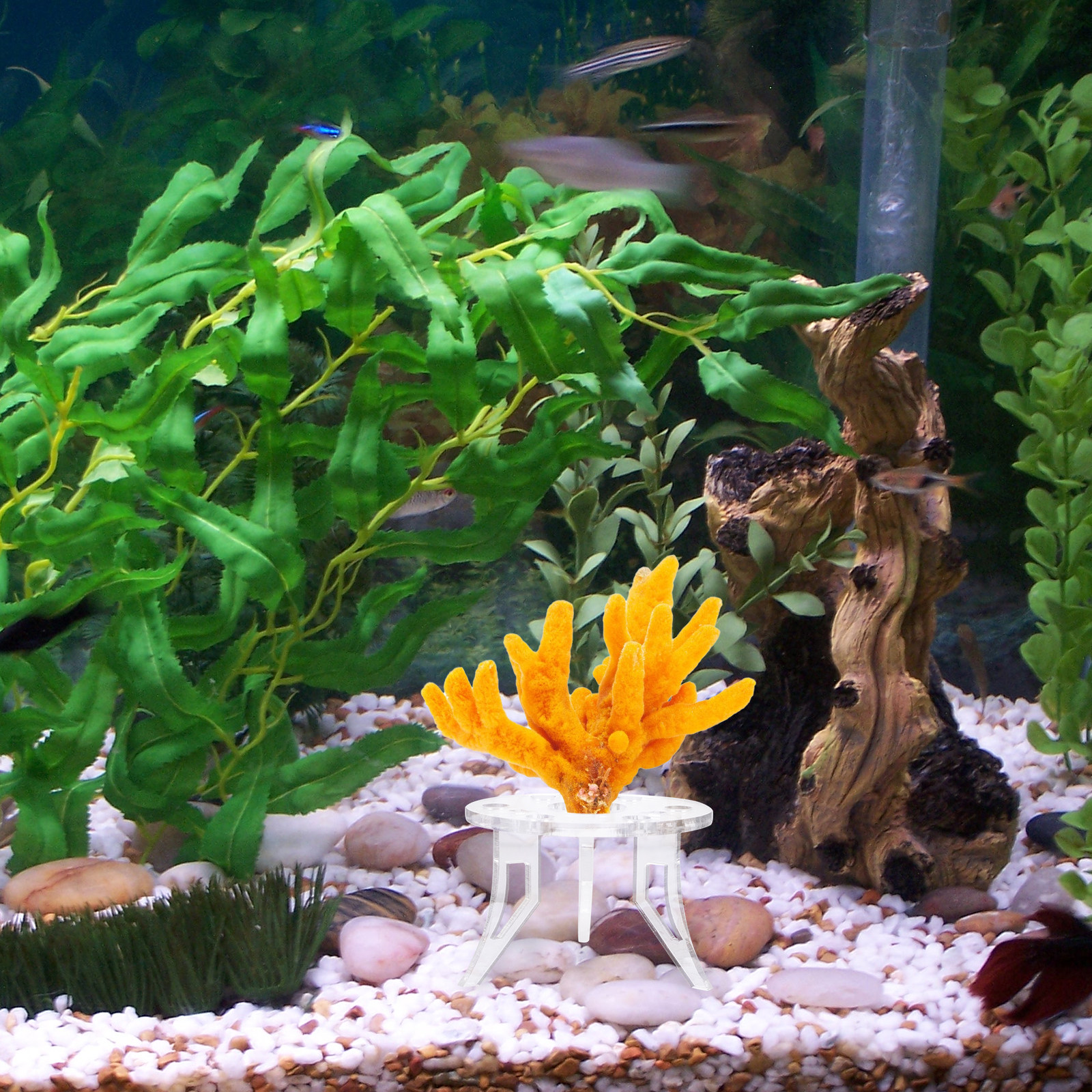 1Pcs Coral Base Stylish Strong – обзор и цена Aquarium Planted Tank Setup