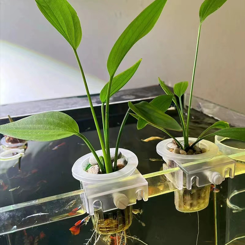Aquarium Planting Basket Hydro – обзор и цена Aquarium Planted Wall