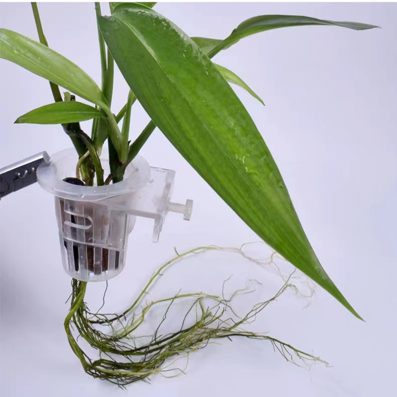 Aquarium Planting Basket Hydro – обзор и цена Aquarium Planted Wall