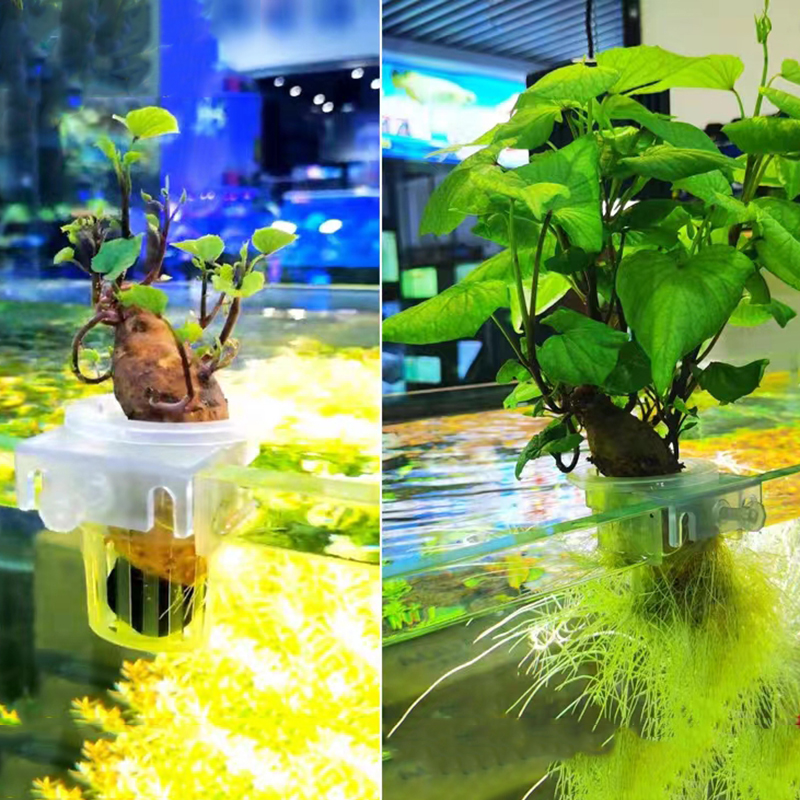 Aquarium Planting Basket Hydro – обзор и цена Aquarium Planted Wall