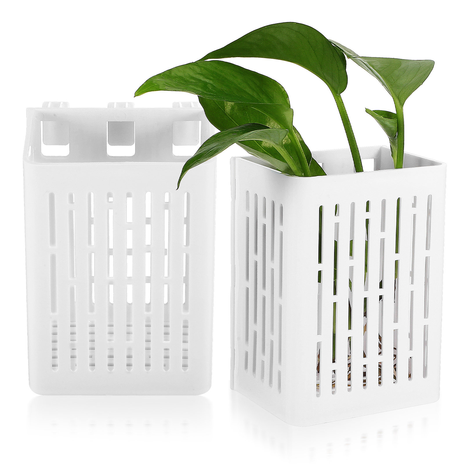 2Pcs Hanging Aquarium Planter  – обзор и цена Aquarium Planted Tank Setup
