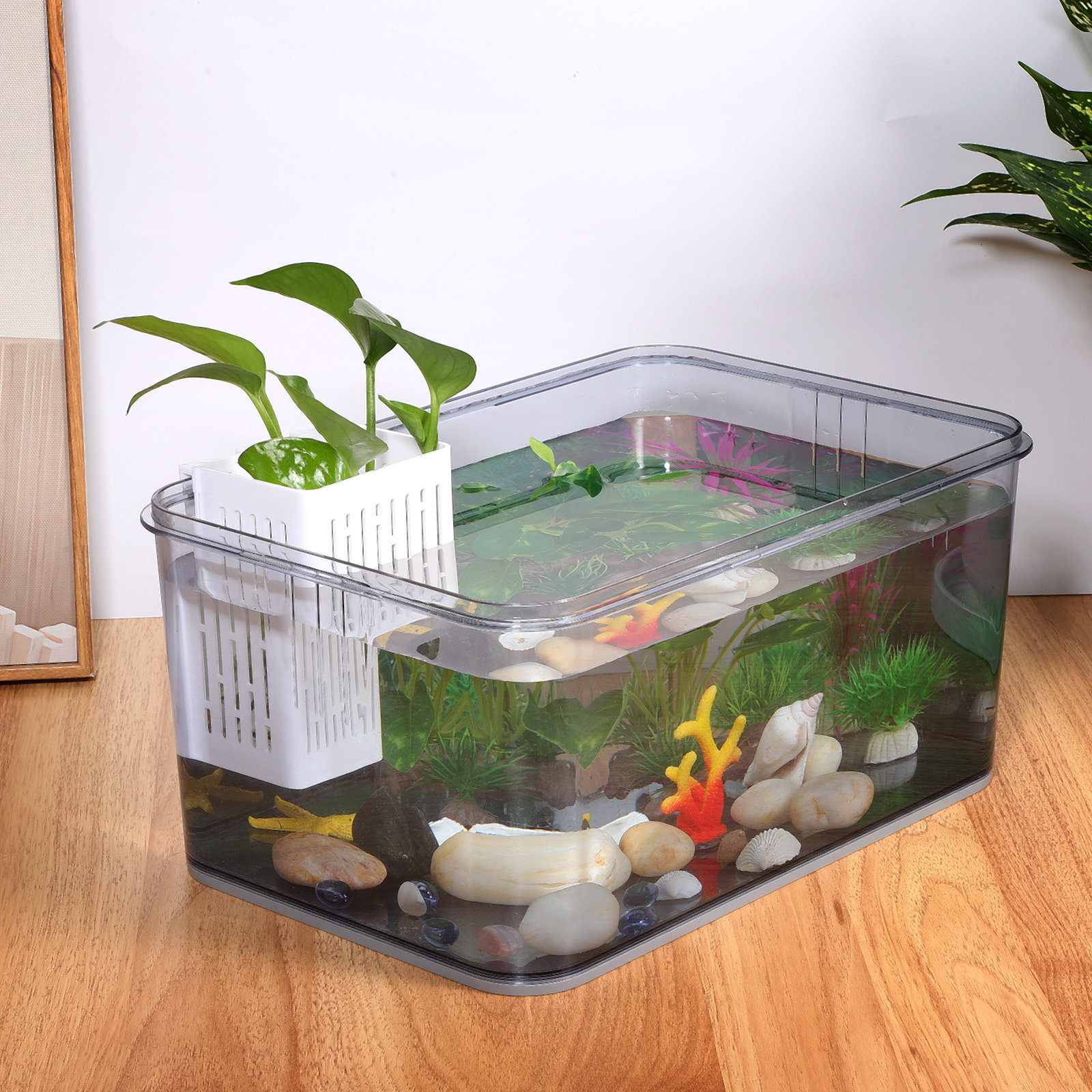 2Pcs Hanging Aquarium Planter  – обзор и цена Aquarium Planted Tank Setup