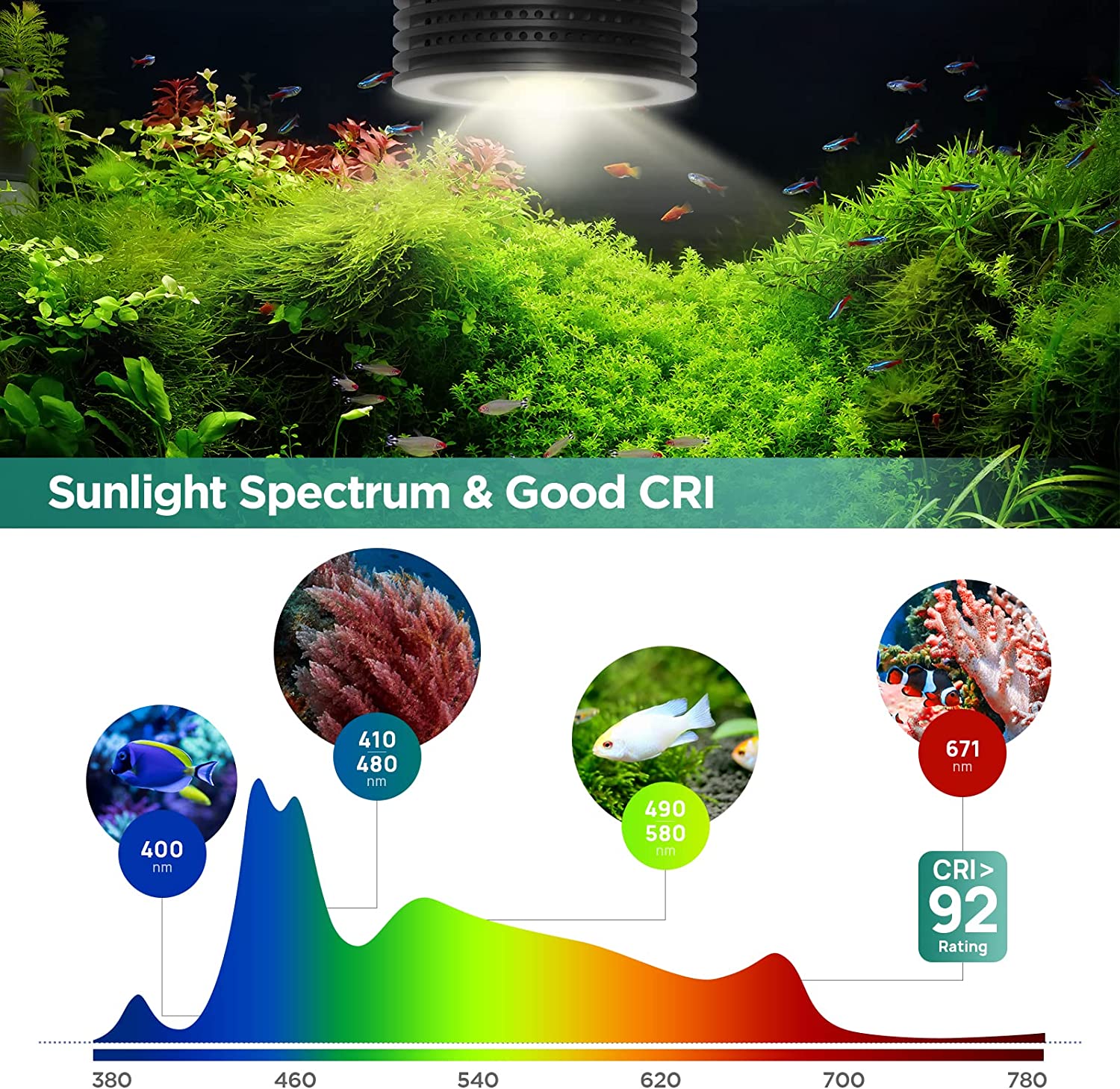 Lominie Asta 20 Freshwater 18W – обзор и цена Planted Aquarium Uv Light