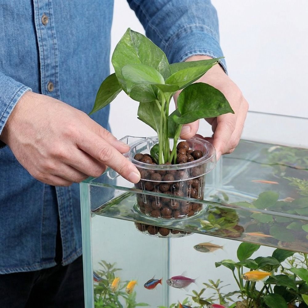 Transparent Fish Tank Grass Cu – обзор и цена Aquarium Planted Wall