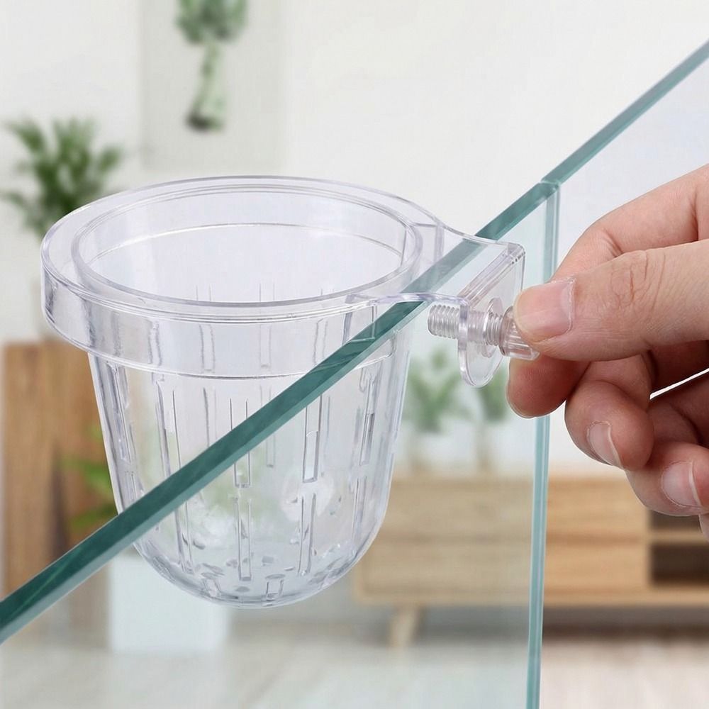 Transparent Fish Tank Grass Cu – обзор и цена Aquarium Planted Wall
