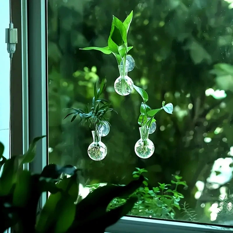 Creative Semi Circular Class W – обзор и цена Aquarium Planted Wall